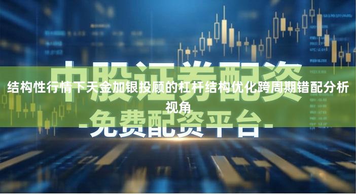 结构性行情下天金加银投顾的杠杆结构优化跨周期错配分析视角