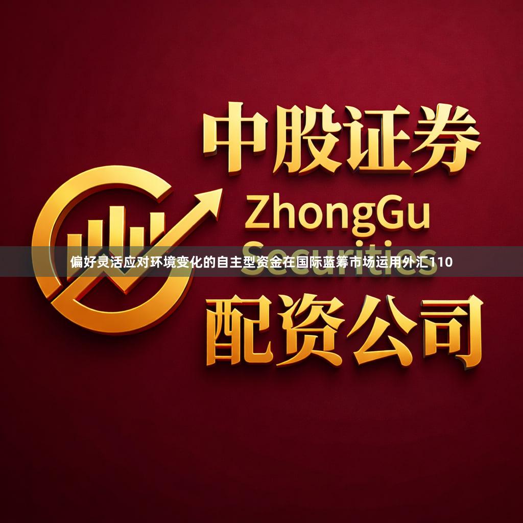 偏好灵活应对环境变化的自主型资金在国际蓝筹市场运用外汇110
