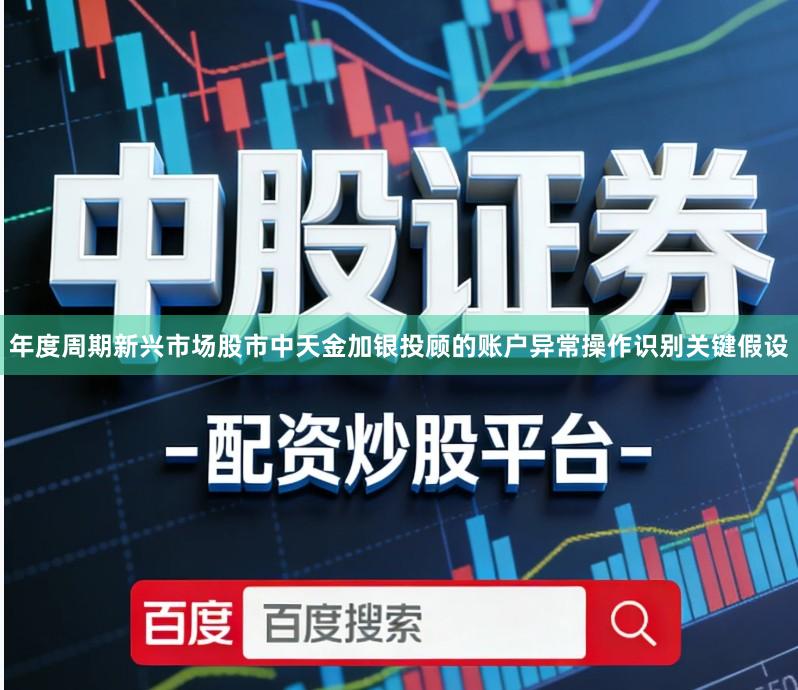 年度周期新兴市场股市中天金加银投顾的账户异常操作识别关键假设