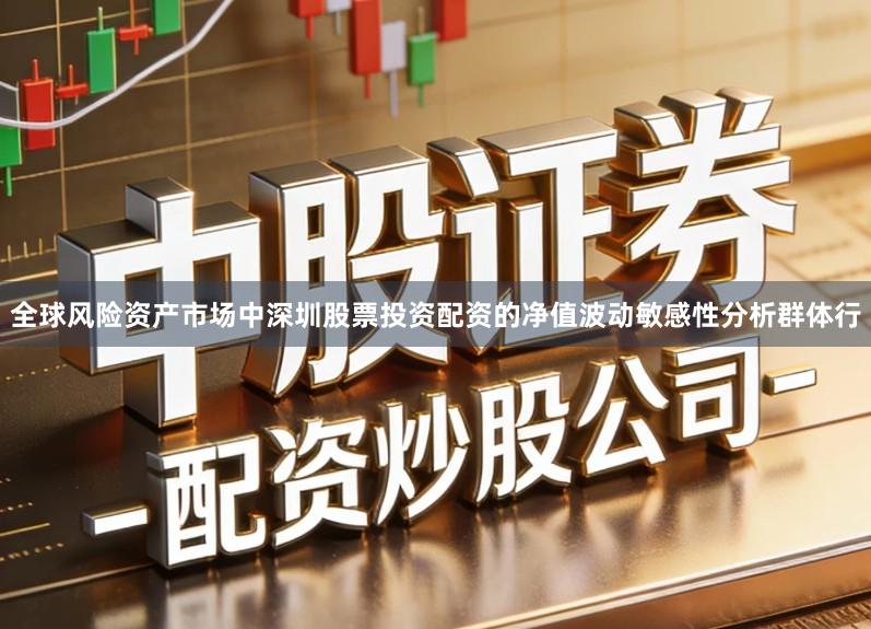 全球风险资产市场中深圳股票投资配资的净值波动敏感性分析群体行