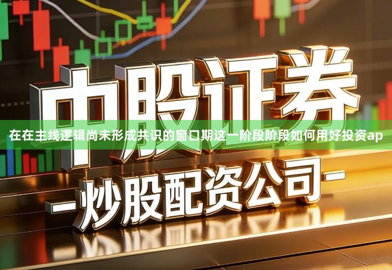 在在主线逻辑尚未形成共识的窗口期这一阶段阶段如何用好投资ap