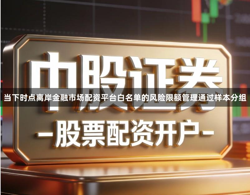 当下时点离岸金融市场配资平台白名单的风险限额管理通过样本分组
