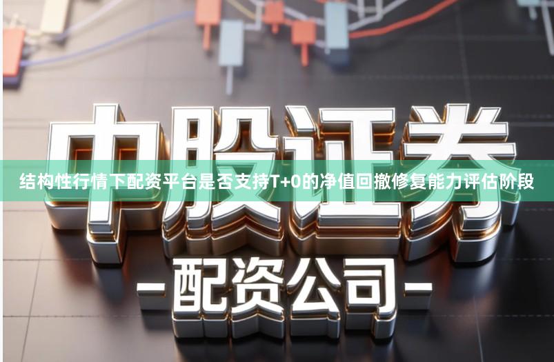 结构性行情下配资平台是否支持T+0的净值回撤修复能力评估阶段